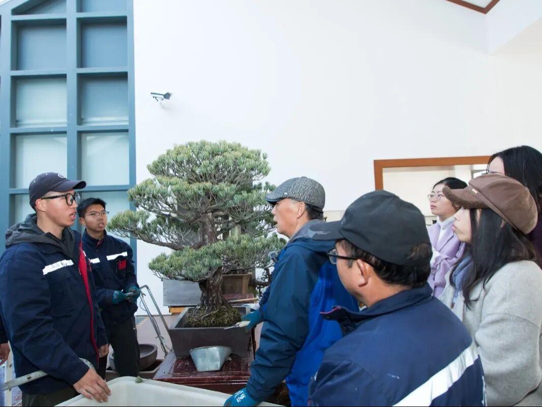 最常见的电脑故障及其解决办法，不求人自己就能修复