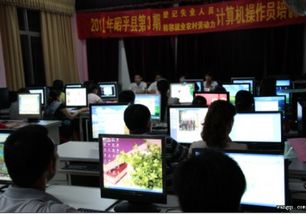 贺州市昭平县举办青年计算机技术培训班，为乡村振兴注入数字动能